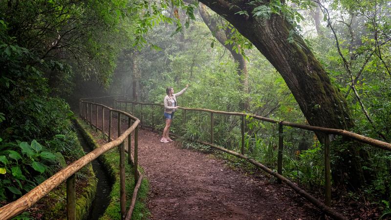 Levada Caldeirão Verde Madeira